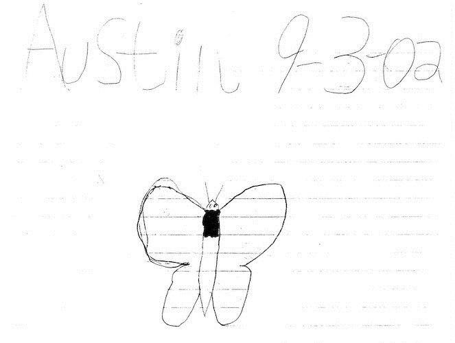 Austin's butterfly first draft
