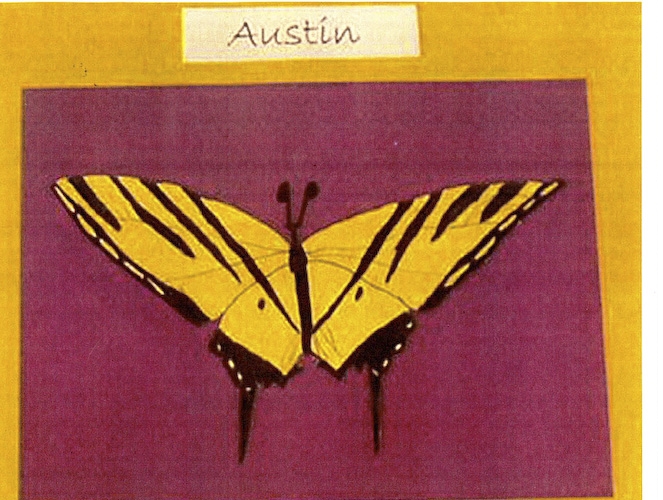 Austin's butterfly final draft